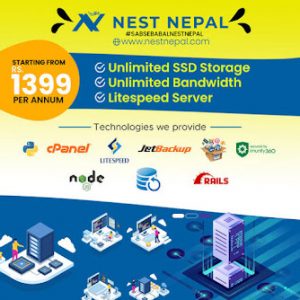 Nest Nepal web hosting